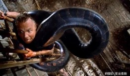 狂蟒之灾4电影在线观看,蟒影重生，惊悚再临