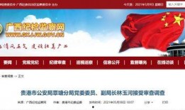 贵港爆料新闻最新消息,突发事件引发社会关注